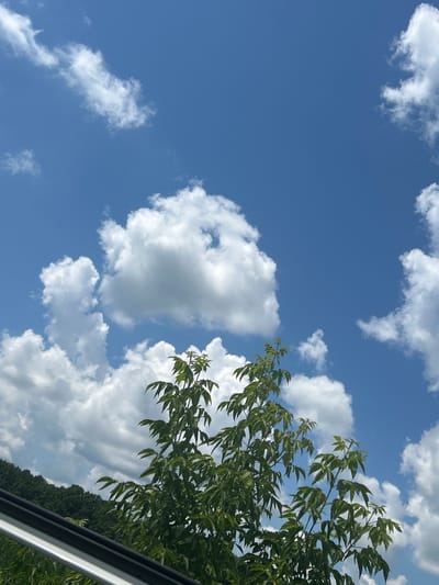 The image captures a bright, cloud-filled blue sky, with a cluster of green leaves and branches from a tree dominating the upper right quadrant. The leaves are a vibrant green, suggesting they are healthy and in full foliage. Scattered throughout the sky are fluffy white cumulus clouds, some appearing larger and more defined than others, indicating fair weather. The sun is not directly visible but its bright light illuminates the scene, suggesting it is daytime, likely mid-morning or afternoon given the intensity of the light and the contrast of the clouds.
The bottom right portion of the image shows a sliver of what appears to be a dark grey object with a metallic sheen, possibly a part of a vehicle or a structure, positioned diagonally. Beyond the tree branches, a dense line of dark green trees forms a backdrop along the horizon, indicating a natural or forested setting. The overall impression is one of a serene and pleasant day, likely outdoors in a rural or semi-rural location in Velykyi Trostianets, Ukraine, given the context. There is no visible text in the image.
