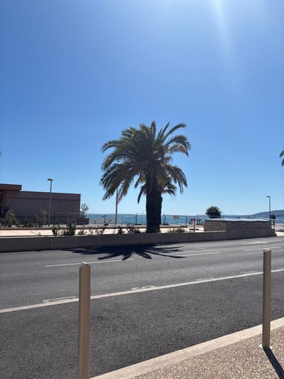 This image depicts a scene in Fréjus, France. A palm tree is positioned between a blue sky and a road that runs alongside the Mediterranean Sea. The sea is separated from the road by a barrier. A building is situated near the palm tree. The road, marked with white lines, runs beside a sidewalk. Cylindrical posts are placed along the sidewalk. The sun is in the upper left corner, with the palm tree casting a shadow on the road.