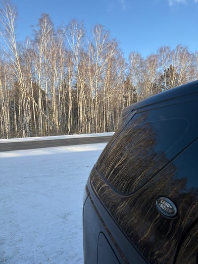 The image captures a winter scene in Taskino, Russia. The rear passenger side of a dark, possibly black, Land Rover SUV occupies the right portion of the frame, angled towards the left. The vehicle's paintwork is glossy and reflects the surrounding environment, including numerous bare tree trunks and a bright sky. The distinct "LAND ROVER" badge is visible on the vehicle's rear panel. The ground in the foreground and middle ground is covered with a layer of undisturbed snow. A two-lane asphalt road, dark in color, runs horizontally across the mid-ground, separating the snowy foreground from a dense forest. The forest consists primarily of tall, slender birch trees with white bark, currently devoid of leaves, indicating winter conditions. A clear, bright blue sky with minimal cloud cover dominates the upper portion of the image. No individuals are present, and no discernible actions or interactions are depicted.