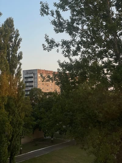 The image depicts a view through trees of a Soviet-era apartment building in Varash, Ukraine. The building is multi-story with a concrete facade and reddish-brown upper sections. Windows are visible on the building's facade. Lush green trees with dense foliage frame the building on the left and right sides. A paved walkway and a grassy area are visible in the foreground, between the trees and the building. The sky above is a soft, clear blue. The lighting suggests it is either early morning or late afternoon. There are no people visible in the image.