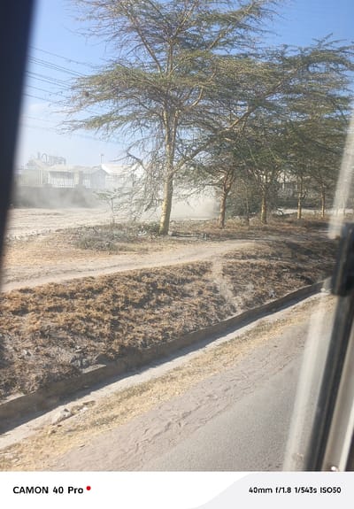 A roadside view with a line of slender trees under a light blue sky. The landscape is dry and dusty with a factory in the background obscured by haze. A concrete curb divides the dirt bank from the road. A partial window frame is visible on either side of the image, suggesting the photo was taken from inside a vehicle. The bottom of the image contains the camera model and lens information.
