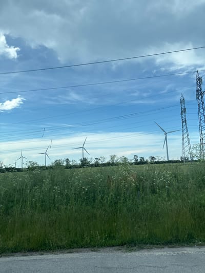 A wide shot captures a field of tall, green grass with scattered white wildflowers and a few red poppies. In the background, a line of wind turbines stands against a blue sky dotted with white clouds. Several tall, lattice-like electricity pylons are visible to the right. Power lines stretch across the frame, crisscrossing in front of the wind turbines and pylons. The bottom of the image shows a grey asphalt road. The scene appears to be an open, rural landscape, possibly in the vicinity of Kavarna, Bulgaria, given the presence of wind turbines and power infrastructure often found in such areas. There are no people or animals in the image.