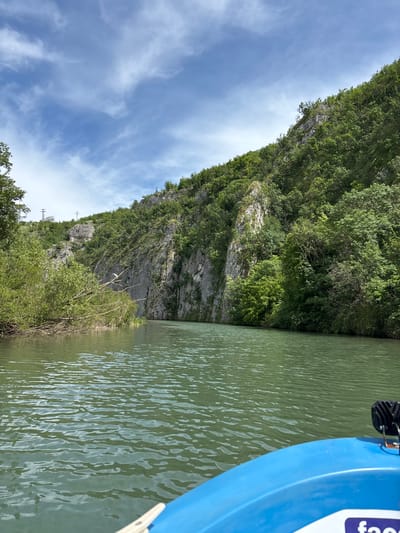 The image, seemingly taken from a water-level perspective, features a view in Petrevene, Bulgaria. A section of a blue kayak is visible on the right. To the left is a body of water with faint ripples. Adjacent to the water is a steep, rocky cliff densely covered with green vegetation. In the distance, a blue sky with scattered clouds is visible. A utility pole is present amongst the trees at the bottom of the image. A bird is perched on a dead tree branch.