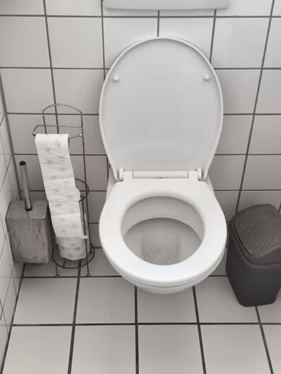 This is a top-down, medium shot of a white toilet with the lid open, set in a tiled bathroom. The scene is well-lit, suggesting artificial light as there are no windows visible. The tiles are white with dark grout, creating a grid pattern on the walls and floor. To the left of the toilet is a metal toilet brush holder with a brush. Next to the brush holder is a chrome stand holding two rolls of toilet paper, one on top and one below, with the top roll partially unrolled. The toilet paper has a pattern of small orange and white flowers. To the right of the toilet is a dark gray, textured waste bin with a lid. The overall impression is of a clean, functional, and ordinary bathroom. There is no visible text in the image. The location context indicates this bathroom is in Troisdorf, Germany.