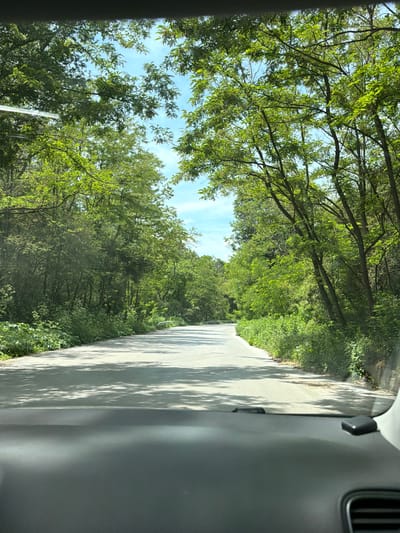 The image captures a view from inside a vehicle looking out at a paved road winding through a lush, tree-lined environment. The trees are abundant with green foliage, casting dappled shadows across the asphalt. The sky is visible through the canopy of leaves, appearing bright blue with some scattered clouds. The road appears to be in good condition, with some visible markings and subtle variations in texture. The overall impression is one of a serene, natural landscape on a sunny day. There are no people or other vehicles immediately visible in the frame. The foreground shows the interior of a car, including the dashboard and windshield. The location is described as Novi han, Bulgaria.