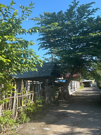 The image depicts a rural road in Terang-terang, Indonesia, on a clear, sunny day. On the left side of the road, a wooden fence made of bamboo and branches encloses an area with lush green vegetation. A small, weathered structure with a corrugated metal roof is visible behind the fence. A large tree with dense green foliage stands prominently near the road, casting shadows on the ground. Further down the road, more structures and a long fence line can be seen, suggesting a residential area. The road itself is unpaved, with a gravelly surface. The overall impression is one of a quiet, rural setting bathed in bright sunlight.