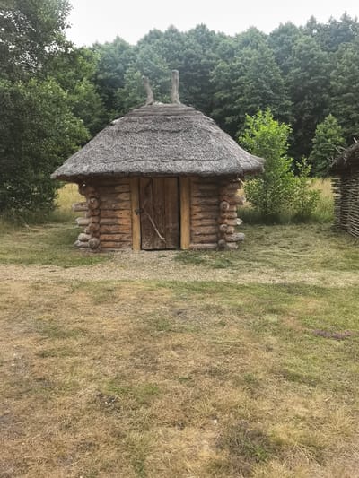 The image shows a small, rustic log cabin with a thatched roof. The cabin has a wooden door with a simple latch and a stick leaning against it. The logs are weathered and appear to be roughly cut. The roof is thick and textured, made of dried reeds or straw. Two wooden poles protrude from the top of the roof, resembling stylized horns or finials. The cabin is situated in a grassy, uneven clearing. In the background, a dense forest of green trees forms a backdrop, with some lighter green foliage visible closer to the cabin. To the right of the cabin, part of another similar wooden structure with a thatched roof is visible. The ground in the foreground is covered in dry, yellowish-brown grass. The overall impression is of a historical or reconstructed dwelling in a rural, natural setting, possibly within the ethnographic complex of Belovezhskaya Pushcha, near the village of Kamianiuki in the Kamianiuki rural council of Belarus.
