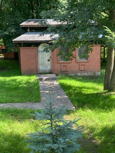 The image depicts a scenic outdoor setting in Arbuzov-Baran, Russia. The main subject is a small, rustic brick building with a light-colored wooden door and barred windows. Adjacent to the building, a pathway made of paving stones leads through a lush green lawn. A young blue spruce tree stands on the right side of the pathway, with its branches extending towards the camera. The background is dominated by dense green foliage from trees, suggesting a secluded, natural environment. The sunlight filtering through the trees casts dappled shadows on the grass and pathway, indicating it is likely daytime, possibly late morning or early afternoon. There are no people visible in the image. The overall atmosphere is tranquil and serene, characteristic of a garden or a rural backyard. The building appears to be a functional structure, possibly a shed or a small outbuilding, blending harmoniously with the natural surroundings. The paving stones and the brickwork suggest a well-maintained area, while the abundant greenery points to a temperate climate.