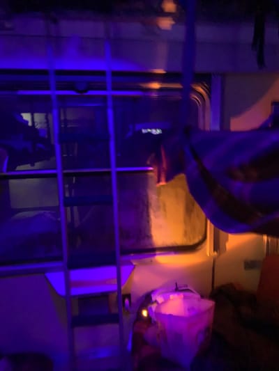 A blue-tinted, upside-down view shows a partially obscured interior through a barred window. A dark striped cloth hangs near a foggy window or door illuminated with a yellow glow. A white bag sits on a surface, also lit with a warm light. The scene has a dim, mysterious atmosphere.