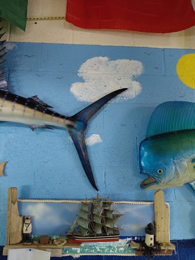The image shows a wall display, likely in a business or recreational establishment in Cutler Bay, Florida, USA. The wall is painted to simulate a seaside scene. It features a red stripe on the left, then a white stripe, and then a blue background with painted white clouds and a yellow sun. Several mounted fish, possibly decorative sculptures or taxidermied specimens, are present. A blue and green marlin head is mounted near the top right. A marlin tail, with dark blue and silver coloration, is mounted lower on the left. The tail is positioned as if the fish is swimming downwards. The fish are facing away from the viewer. A framed diorama of a sailing ship, made from wood and plastic, is positioned on the right side of the display. The diorama also has a miniature sailor figurine. The background of the diorama is painted to resemble the sky. The overall effect is a nautical theme.