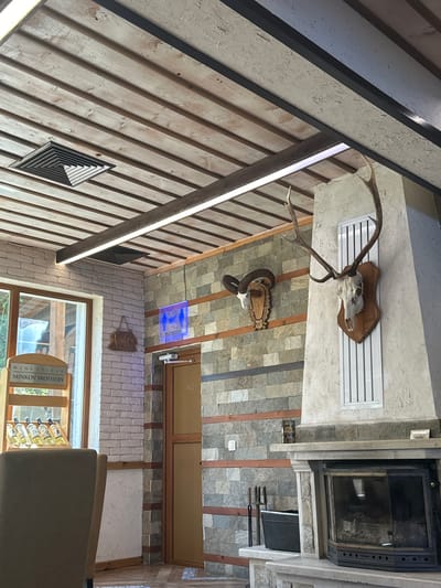 The image shows the interior of a rustic establishment, likely a restaurant or wine cellar, in Sarnitsa, Bulgaria. The ceiling is constructed of wooden planks with exposed beams and features a central air vent and linear lighting fixtures. The walls are a mix of exposed brick and stonework. A large stag's head mount is prominently displayed on the right side of the image, above a fireplace with a glass front. To the left, a ram's head mount is visible on the stone wall. A wooden door with a "WC" sign and a blue illuminated restroom sign are present. A wooden shelf unit displaying several bottles of wine, labeled "WINE CELLAR MINKOV BROTHERS," is situated near a window. A dark-colored chair is partially visible in the foreground. The overall ambiance suggests a traditional, possibly hunting-themed, establishment.