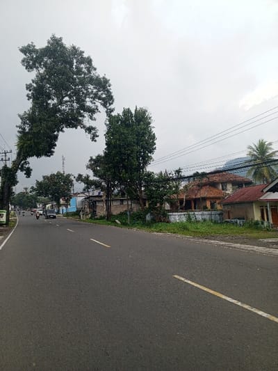 The image depicts an overcast daytime street scene in the city of Qorday, Kazakhstan. A dark asphalt road, marked with two broken yellow center lines and a solid white line on its left edge, occupies the lower and central portions of the frame. On the left side of the road, a dirt shoulder precedes a large tree with dark green foliage, notably an arching branch extending over the road and adorned with epiphytic ferns. Further down the left side, utility poles with multiple power lines are visible, followed by various buildings including one painted light blue. In the distance, several motorcycles and a light-colored vehicle (possibly a pickup truck) are traveling away from the viewer on the road. A tall metal tower is discernible in the far background on the left.
On the right side of the road, a strip of overgrown grass and vegetation leads to a series of buildings. Prominently featured are a two-story house with a reddish-brown tiled roof and orange walls, partially obscured by trees and a white fence, and a smaller, single-story house with a reddish-orange tiled roof and light-colored walls closer to the foreground. Additional trees, including a tall, dense green tree, line this side of the street. Overhead, multiple utility lines traverse the sky. The background reveals hazy mountains under a uniformly grey, overcast sky, with a palm tree visible on the far right. No individuals are clearly discernible in the immediate foreground; distant vehicles suggest active traffic.
