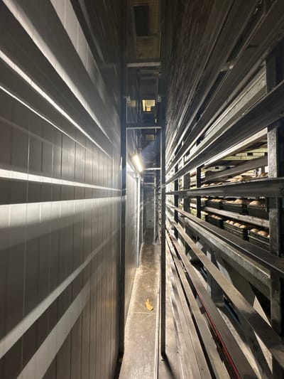 The image depicts the interior of a commercial bakery's bread cooling tunnel or storage area, likely located in Dedovsk, Russia. The scene is characterized by a narrow passageway with a ribbed, light-colored wall on the left and a multi-tiered metal shelving unit on the right. The shelving unit is filled with numerous loaves of bread, some of which are in dark rectangular pans. The lighting is artificial, with a prominent fluorescent light fixture visible on the right side of the passageway. Shadows are cast across the ribbed wall, suggesting a directional light source. The floor appears to be concrete and is somewhat damp in places. A single piece of what appears to be discarded food packaging lies on the floor. The overall impression is one of industrial food production and storage.