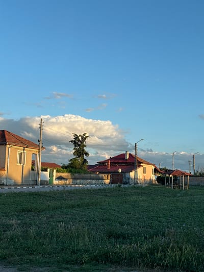 The image depicts a rural scene in the village of Novo Zhelezare, Bulgaria, during what appears to be late afternoon or early evening, indicated by the warm, low-angled sunlight illuminating the buildings. The foreground is dominated by a grassy field with some sparse, small purple flowers. A paved road with a white and black striped border runs horizontally across the middle ground.
To the left of the road, a light-colored house with a reddish-brown tiled roof is visible. It has at least one window and appears to be a single-story structure. A utility pole with electrical wires runs alongside this house. Further to the right, a longer building with a similar reddish-brown tiled roof is present, with a section of its facade lit by the sun. Between these two structures, a green gate is set within a stone wall topped with decorative elements. Behind the wall, lush green foliage is visible.
In the middle ground, a distinctive tall, slender tree with a unique, branching crown stands out. A covered gazebo with a reddish-brown roof and wooden seating is situated to the right of this tree. More utility poles with electrical wires are spaced throughout the scene, indicating infrastructure typical of a village. The background features a clear blue sky with dramatic, large white cumulus clouds, some of which are catching the golden light of the setting sun. The overall impression is one of a peaceful, quiet rural settlement. There are no people or animals visible in the image.