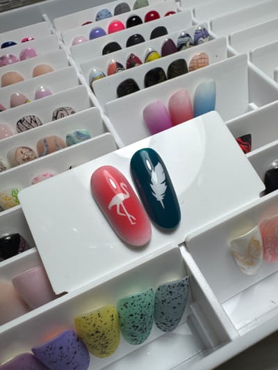 The image displays an overhead view of a white plastic organizer filled with various artificial fingernails, predominantly in the bottom and middle sections. The organizer has multiple compartments, each holding a few nails. In the center, two prominent artificial fingernails are positioned on a white surface: one is red with a white flamingo design, and the other is teal with a white feather design. The background shows additional compartments of the organizer with more artificial nails, showcasing a range of colors and patterns, including solid colors, gradients, and intricate designs. The overall scene appears to be a flat lay arrangement of nail art samples, possibly for display or selection. The image is taken from a slightly elevated angle, looking down into the organizer. There is no indication of a specific location in Vlasikha, Russia, or any people, actions, or interactions.