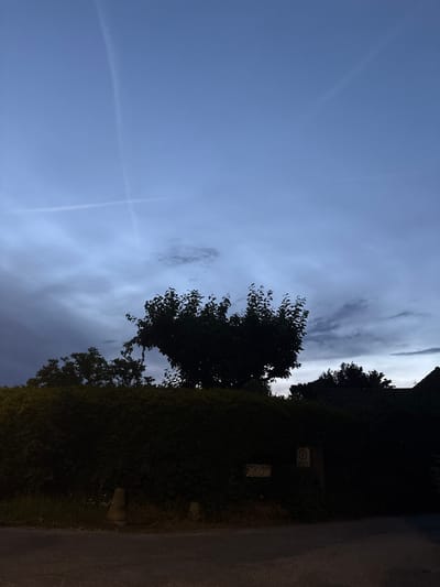 The image captures a twilight scene in Chelmsford, United Kingdom, looking towards a dense hedge and trees. The sky is a deep blue with wispy clouds and two distinct contrails forming a cross shape. Below the sky, silhouetted trees stand out against the darkening horizon, with a prominent tree in the center displaying a heart-like shape. A thick, dark green hedge runs across the middle ground, partially obscuring the base of the trees and a few small wildflowers at its foot. Two weathered, light-colored posts, possibly boundary markers, are visible in front of the hedge. To the right of the hedge, a portion of a building with a tiled roof is visible, also in silhouette. Two signs are affixed to the hedge: one reads "PORCH LANE" with additional text below, and the other is a circular speed limit sign indicating "5". The foreground shows a dark asphalt road, suggesting a street or lane. There are no people or animals visible in the frame.