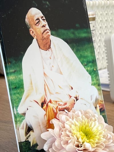 The image shows a close-up of a book with a portrait of an elderly man on the cover, dressed in light-colored robes. He is seated, with his head tilted upwards. In the foreground, a pale pink and yellow chrysanthemum is partially obscuring the bottom of the book. The background is out of focus, showing green foliage and a glimpse of a white woven texture and a white electronic device. The book is positioned on a wooden surface. There is no information within the image to suggest any specific location in Bunbeg, Ireland.
