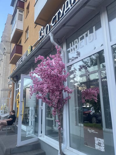 A street-level, wide-angle, low-exposure, outdoor shot shows the facade of a storefront with a window display and an entrance. The building is tan with a light gray trim around the windows. In the upper left corner of the window display, the word "ВЕТЫ" is written in large white block letters. To the right of this, there is a square QR code with some Russian text. Below this, the text "1310% СТУДИЯ ФЛОРИСТИКИ" is visible, indicating it is a flower studio. The entrance is a glass door with "DOG-FRIENDLY" and an image of a dog in the lower right. Pink artificial flowers are draped over the top of the window and entrance. The lower portion of the image shows a woman in a black t-shirt and shorts bending down in front of the entrance, looking at something on the ground. The sky is a clear, pale blue, suggesting it is daytime. The scene appears to be a commercial street in Новоподклетное, Russia.