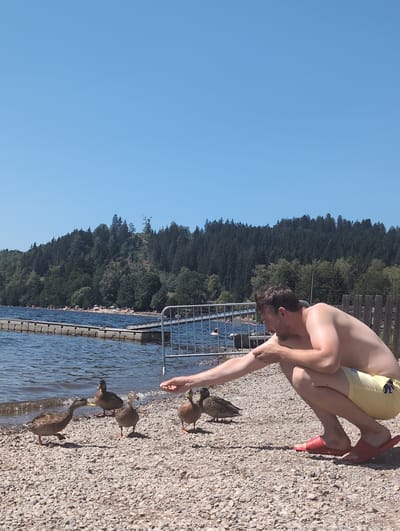 In Titisee-Neustadt, Germany, a shirtless man in yellow shorts and red slides crouches on a pebbled shore, extending his hand to feed several ducks. The ducks are gathered around him, some pecking at the ground, others looking towards his hand. In the background, a blue lake is visible, with a floating dock and a beach with numerous people sunbathing and swimming. The lake is bordered by a dense, green forest that covers the hills. The sky is clear and blue.