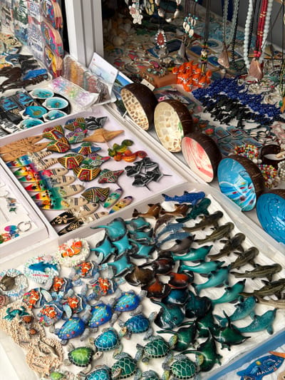 This image captures a detailed, elevated view of a souvenir market stall in Gulhi, Maldives. The stall is densely populated with a variety of handcrafted items, primarily featuring marine themes.
In the foreground and mid-ground, numerous small, colorful figurines and magnets depicting sea creatures are arranged in white display trays. These include various shades of blue, green, and brown sea turtles with patterned shells; blue, black, and brown manta rays; diverse species of sharks and dolphins in blue, grey, and dark hues; and clownfish on coral bases, several marked "MALDIVES." Adjacent displays present flat, carved wooden or resin items shaped as fish, surfboards, and other marine life, often vibrantly painted, some bearing "MALDIVES" or "GULHI MALDIVES" text.
To the right, several halved coconut shells are exhibited, featuring polished brown exteriors and intricately decorated interiors. Some interiors display mother-of-pearl inlay, while others are hand-painted with scenes such as an underwater reef or abstract patterns.
The background shows additional merchandise, including necklaces crafted from shells, beads, and wooden pendants. Also visible are groups of small orange fox figurines and further blue and black stingray-like figures. The items are systematically arranged on white trays and flat surfaces for retail presentation. No individuals are present within the frame.