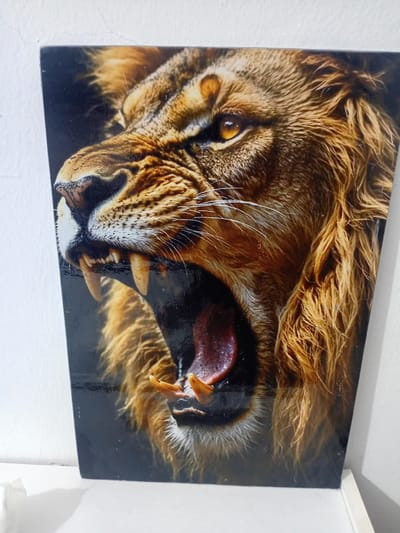 The image is a close-up photograph of a framed picture of a lion's face. The lion is depicted roaring, with its mouth wide open, revealing its teeth and tongue. The image is positioned vertically, leaning against a white wall with some cracks. The picture itself has a glossy finish, reflecting the light. The bottom edge of the picture frame is resting on a white surface, likely a shelf or table. The lighting suggests an indoor environment. The specific location in Douala V, Cameroon, cannot be determined from the image content alone.