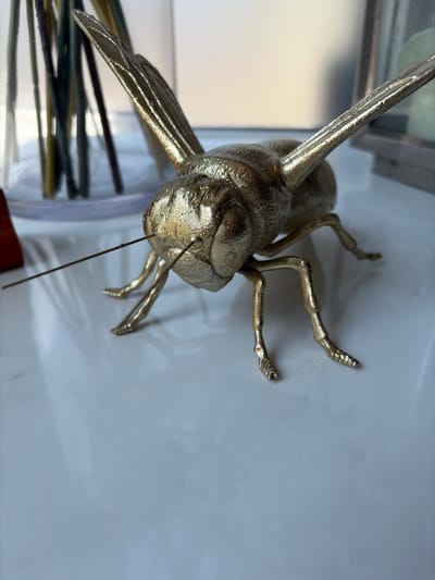 A close-up, eye-level, indoor shot captures a metallic, gold-colored decorative grasshopper statue positioned on a white, glossy surface. The grasshopper is facing the viewer, with its head tilted slightly upwards and its wings outstretched. Its antennae are long and thin, extending forward. The statue's metallic finish reflects light, creating highlights and shadows. In the blurred background to the left, a clear glass vase contains several dark, slender objects, possibly dried flowers or reeds. To the right, a portion of a silver-toned framed object, possibly a lantern or picture frame, is visible. The white surface appears clean and smooth, with subtle variations in lighting creating a soft, reflective sheen. The image is taken in Torquay, United Kingdom.