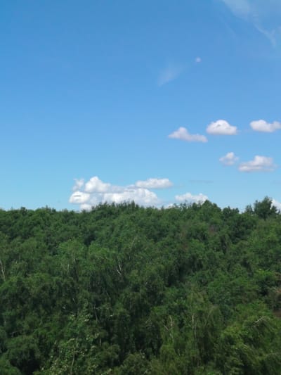 A dense, undulating forest of green trees stretches across the lower two-thirds of the image. Above the forest canopy, a clear blue sky with scattered white, puffy clouds occupies the upper third. The image appears to be an outdoor, natural landscape. No people or specific structures are visible. The scene is likely located in a rural or semi-rural area, possibly on the outskirts of a city. Given the prompt's information, this scene could represent a natural area within or near Putilkovo, Russia.