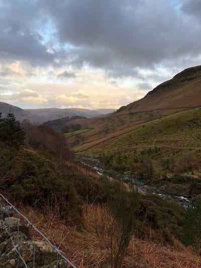 The image displays a wide-angle landscape view of a mountainous valley located in Glenridding, United Kingdom. The sky is largely overcast with dark grey clouds, interspersed with patches of light blue and scattered yellowish-orange clouds that suggest either dawn or dusk. In the lower-left foreground, a grey wire mesh fence runs diagonally across dark grey rocks embedded with moss and lichen. The central feature of the valley is a river, visible with rocky banks and sections of white water, flowing from the distant background towards the lower right of the frame. The steep valley slopes are covered in varied vegetation, including dark green evergreen trees (conifers), bare deciduous trees, patches of dry brown bracken, green grass, and yellow-flowering gorse bushes. The prominent slope on the right side of the valley exhibits multiple horizontal lines consistent with dry stone walls or terraced pasture. Layers of distant hills and mountains, rendered in muted tones, recede into the hazy background under the cloudy sky. No individuals, animals, or direct actions or interactions are depicted within the scene.