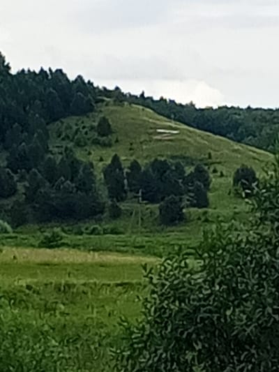 A wide shot captures a rolling green hillside covered in lush trees and vegetation under an overcast sky. In the foreground, dense green foliage partially obscures the view. A light-colored path or clearing is visible on the far left of the frame. The midground features a gently sloping green hill with scattered trees and some lighter-colored rectangular shapes possibly representing structures or terraced areas. The background is dominated by a dense forest of dark green trees. The scene appears to be a natural landscape in a rural or undeveloped area, potentially on the outskirts of the city of Kushulevo, Russia.