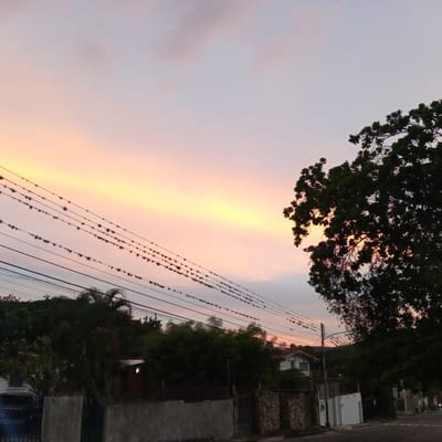 The image depicts a street scene in El Limón, Venezuela, at dusk. The sky is a soft gradient of pink and yellow, indicative of sunset. Several parallel power lines traverse the frame, adorned with what appear to be epiphytic plants. In the foreground, a low concrete wall and a stone-clad wall with a gate mark the boundary of a property. To the left, palm trees and other dense foliage are visible, with glimpses of buildings behind them. A dark vehicle is partially visible. To the right, a large tree with dark green leaves dominates the scene, silhouetted against the sky. Further down the street, more houses and trees line the road, and more power lines are present. The overall impression is a quiet residential area during twilight.