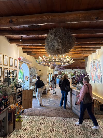An interior view of a rustic commercial space, likely a wine cellar, tasting room, or restaurant, in Drakenstein Nu, South Africa. The image is oriented vertically (rotated 90 degrees clockwise). The scene features a mix of natural wood, patterned tiles, and decorative elements.

On the left, a wall and ceiling are adorned with large, rough-hewn wooden logs and planks. A large, spherical decorative item made of dried plant material hangs prominently from the wooden ceiling. Further into the room, a chandelier crafted from numerous wine bottles illuminates the space.

Several people are visible, some with motion blur, suggesting movement. In the foreground on the right, a person in a pink top and dark pants walks towards the background, their back to the viewer. Another person in a black jacket and blue jeans stands near a wooden counter or bar area. In the mid-ground, several individuals are gathered, some appearing to be browsing or waiting. One person is wearing white pants and a black top.

The floor transitions from a central area with round, dark grey paving stones to an outer section covered in light-colored tiles with a repeating green and white geometric pattern. The ceiling features a colorful painted mural depicting figures, possibly associated with winemaking or harvesting, surrounded by grapevines.

Objects visible include racks of wine bottles, baskets, potted plants, and cut flowers (including bird of paradise). A wooden counter or display runs along the right side of the room. On a lighter-colored wall, a series of framed certificates or awards are displayed, alongside a white wall heater/vent. A small white sign with a "WIFI" logo and an arrow pointing upwards is noticeable. An emergency exit sign with an arrow is also visible. The overall ambiance is warm and inviting, with a strong emphasis on natural materials and a wine theme.