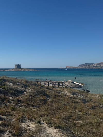The image depicts a coastal scene, featuring a beach environment in Isthintini/Stintino, Italy. The view includes the turquoise waters of the sea, a sandy beach with vegetation, and a clear blue sky. In the water, there's a wooden structure resembling a pier or walkway. People are visible on this structure. Furthermore, the image includes a stone tower standing in the water near the coastline. A rocky headland is visible in the background. The image appears to be taken on a bright, sunny day.