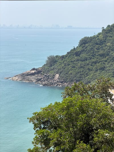 The image depicts a rocky, densely vegetated peninsula jutting into the sea, likely near Hải Vân Ward, Vietnam. The peninsula transitions from dense green foliage at its base to bare rock as it tapers to a point. Turquoise water surrounds the peninsula. A large tree branch with green leaves frames the upper right of the image. Hazy conditions obscure the distant shoreline and city.