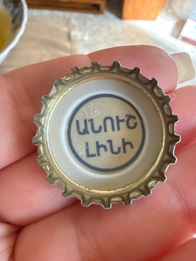 The image shows a close-up of a bottle cap held by a person's hand. The bottle cap is silver with a crimped edge and a cream-colored interior. On the interior of the cap, there are two lines of text in a dark blue or black font. The text appears to be in Armenian script. The top line reads "ԱՐԱՐԱՏ" which transliterates to "ARARAT". The bottom line reads "ՀԱՅԱՍՏԱՆ" which transliterates to "HAYASTAN". The background is blurred but suggests an indoor setting with natural light. The focus is on the bottle cap and the hand holding it, highlighting the text on the cap. The overall impression is of a simple everyday object with identifying text.