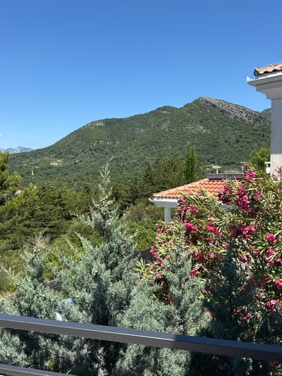 A clear, bright, sunny day is depicted in Kavač, Montenegro, with a panoramic view of lush green mountains under a vast, cloudless blue sky. In the foreground, a dark metal railing runs horizontally across the bottom of the frame, partially obscuring the view of a dense evergreen shrub with a blue-green hue. To the right of this shrub, a flowering bush with numerous vibrant pink blossoms is visible, its branches laden with flowers. Behind the foreground vegetation, the terracotta tiled roof of a white building is partially visible on the right side of the image, suggesting a residential area. The mid-ground is a tapestry of dense green trees and vegetation, interspersed with glimpses of more buildings with red roofs and white walls nestled into the hillside. The background is dominated by a large, verdant mountain range that rises majestically against the horizon. The overall scene evokes a sense of tranquility and natural beauty typical of a Mediterranean landscape.