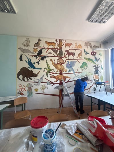The image shows a classroom in the city of Bozhurishte, Bulgaria, with a mural of various animals painted on the wall. A person in a blue shirt and black pants is standing on a ladder, painting the mural. There are desks and chairs in the foreground, and art supplies are scattered on the tables. The mural features a variety of animals, including mammals, reptiles, birds, fish, and insects, arranged in a tree-like structure, possibly representing an evolutionary timeline or a diverse ecosystem. The wall is painted with a light blue color on the left side, and the rest of the wall is covered by the mural. A fluorescent light fixture is visible on the ceiling.