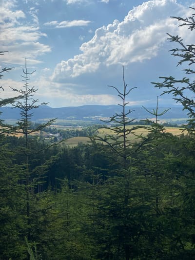 This image shows a landscape view from a forested area looking out over rolling hills and a small town. In the foreground, several tall evergreen trees, likely spruce or fir, dominate the scene, their branches creating a natural frame for the distant view. The trees in the foreground are densely packed and dark green, suggesting a thick forest.
Beyond the immediate forest, the landscape opens up to reveal a patchwork of fields, some appearing golden and ready for harvest, others a lush green. A small settlement with buildings and a church steeple is visible nestled within the fields. In the background, layers of blue-green hills recede into the distance, softened by atmospheric haze.
The sky above is a mix of bright blue and dramatic white clouds, with a large, puffy cumulus cloud formation on the right, hinting at possible afternoon weather. The lighting suggests it is daytime, likely late morning or afternoon, with the sun illuminating the fields and sky.
This view is characteristic of the landscape surrounding Chełmsko Śląskie, Poland, a town known for its scenic beauty and location within the Sudeten Mountains. The combination of dense forests, agricultural fields, and distant mountains is a common sight in this region. There are no people or animals visible in the image. The overall impression is one of natural beauty and rural tranquility.