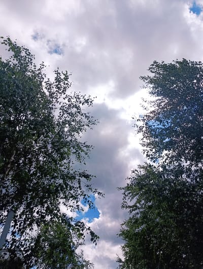 This is a low-angle, vertical shot looking up at a cloudy sky from below the canopy of trees in Ivanovskoe, Russia. The trees, mostly birch based on their white bark visible on the left, frame the sky, creating a dappled effect. The clouds are a mix of white and gray, with some patches of blue sky visible through breaks. The overall mood is overcast and somewhat dramatic due to the heavy cloud cover. There are no people or animals visible in the image. The scene suggests an outdoor setting, likely a park or residential area with mature trees.