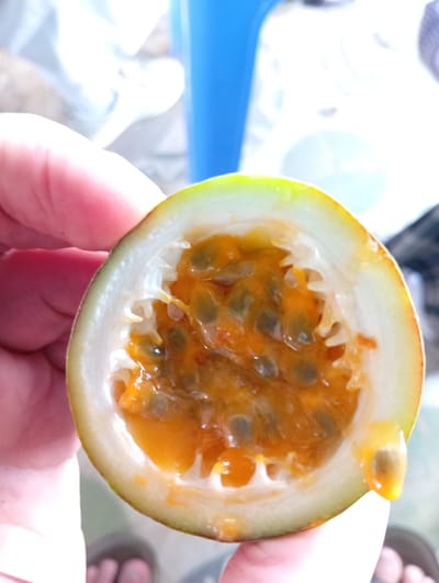 A close-up image shows a half-cut passion fruit being held in a hand. The fruit has a white rind with green and yellow hues on the exterior. The interior is filled with orange pulp and dark seeds. The background is blurred, but a blue object and some light-colored surfaces are visible. The location is specified as Phú Hòa, Vietnam.