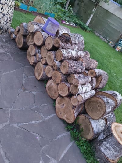 A pile of cut logs is stacked on a flagstone patio next to a grassy yard in Vostets SNT, Russia. A purple plastic bucket is visible atop some of the logs. The logs are of varying sizes and appear to be a mix of birch and other types of wood, with some showing bark and others with exposed grain. The patio is made of irregularly shaped gray stones. In the background, a wooden fence and some greenery are visible. The overall scene suggests a rural or suburban setting, possibly a backyard or garden area. There are no people present in the image.