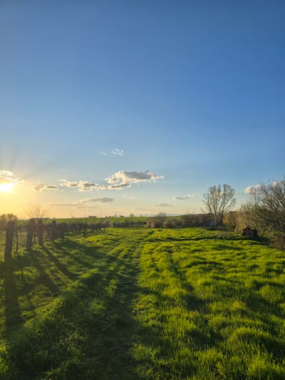 The image shows a landscape likely in the vicinity of Stara Reka, Bulgaria. A large expanse of green grass dominates the right half of the frame. A tree line with some buildings is visible between the grass and the sky. The left half of the image features a blue sky with scattered clouds. At the bottom, the sun is visible on the horizon, casting a warm glow. A fence line and tree shadows are visible in the foreground.