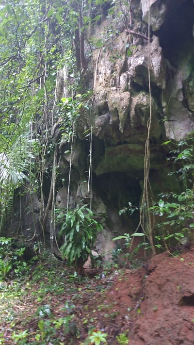 The image depicts the entrance to a cave in Ban Pak Ra, Thailand. The cave entrance is surrounded by rock formations covered in vegetation, including vines and ferns. The cave itself is dark and appears to be made of layered rock. There is some visible soil on the right side of the image. No people are visible in the scene.