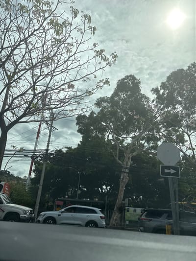 The image is taken from inside a vehicle looking out at a street in San Rafael, Costa Rica.  The sun is shining brightly in a partly cloudy sky.  There are trees lining the street, and there is a white sign with a black arrow pointing to the right. There are several cars parked on the street, and one car is driving down the street.  There are also power lines hanging overhead.  The road is asphalt.  The view of the street is partially obscured by the vehicle the image is taken from.  The image was likely taken on a weekday during the day.