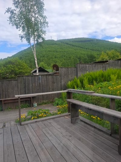 The image depicts an outdoor wooden deck with a weathered grey finish. A simple wooden bench with a slatted seat and backrest is positioned on the deck, facing a wooden fence. Beyond the fence, a lush green hillside covered in dense trees rises under a partly cloudy sky. Small yellow wildflowers are scattered in the grass on the other side of the fence, alongside vibrant green ferns. A tall, slender birch tree with white bark stands prominently to the left of the fence, its leaves a bright green. In the background, a glimpse of a rustic building with a dark roof is visible behind the fence, with a satellite dish mounted on it. The scene appears to be in a natural, possibly rural setting. The location is identified as Sukhoy Ruchey, Russia.