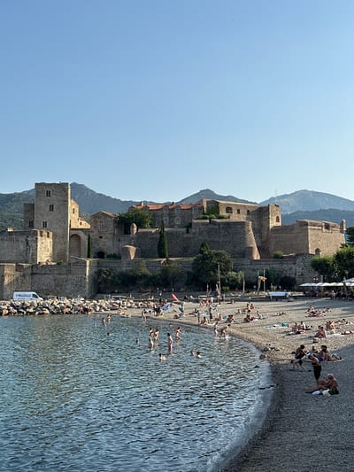 This image depicts a sun-drenched scene in Collioure, France, focusing on the Royal Castle (Château Royal de Collioure) and a bustling beach. The castle, constructed of stone, dominates the background with its imposing walls, towers, and battlements, set against a backdrop of rolling green hills and a clear blue sky.

In the foreground, a pebble beach is crowded with people enjoying a summer day. Numerous individuals are sunbathing on towels, sitting, and standing. Several people are in the water, swimming or wading. The water itself is a deep blue, reflecting the bright sunlight with a rippling texture. Along the edge of the water, a rocky embankment is visible, with some people seated on the rocks.

Beyond the beach, a paved area features outdoor seating under umbrellas, suggesting a cafe or restaurant. A few vehicles are parked near the rocky embankment, including a white van. The overall atmosphere is one of leisure and activity on a warm day by the sea.