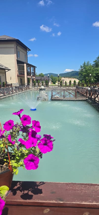 This is a photograph of a tranquil outdoor scene in Babugent, Russia. The image is dominated by a bright, turquoise-colored body of water, possibly a pond or a slow-moving river, which is illuminated by the bright sunlight. In the foreground, a cluster of vibrant magenta petunias in a pot adds a splash of color and draws the viewer's eye. The flowers cast delicate shadows on a rustic wooden railing, which occupies the right side of the frame, suggesting a vantage point from a deck or balcony.

The water features a fountain, with a bright blue ring at its base, which is spraying water upwards, creating a dynamic focal point. Surrounding the water is a walkway or decorative border constructed from wooden planks and adorned with stone accents. Beyond this, several buildings with beige exteriors and dark roofs are visible, featuring balconies and windows, hinting at a resort or residential area. Wooden structures and pathways line the water's edge, contributing to the picturesque setting.

In the background, lush green trees and the gentle slopes of hills under a clear blue sky with scattered white clouds create a serene natural backdrop. The overall impression is one of a peaceful, sunny day, likely in the late morning or early afternoon, given the bright illumination and clear skies. There are no people visible in the image. The scene evokes a sense of calm and natural beauty.