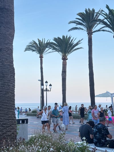 This image depicts a lively scene along a waterfront promenade in Nerja, Spain. The primary subjects are groups of people casually gathered, some seated on benches and others standing, observing the surroundings. Several palm trees, characteristic of the location, are prominently featured, with their trunks and fronds arching against a pale, hazy sky. The promenade itself is paved with patterned tiles, and a lamppost with ornate fixtures adds to the ambiance. 

The activity appears to be leisurely, suggesting people are enjoying an evening stroll or socializing. The soft lighting indicates it's likely late afternoon or early evening, with a gentle, possibly warm weather. The presence of the sea in the background, its surface calm and reflecting the soft light, further reinforces the coastal setting. A few plants with small white flowers are visible on the right side, adding a touch of natural beauty to the scene. The overall emotion conveyed is one of relaxation and enjoyment. There is no visible text in the image.