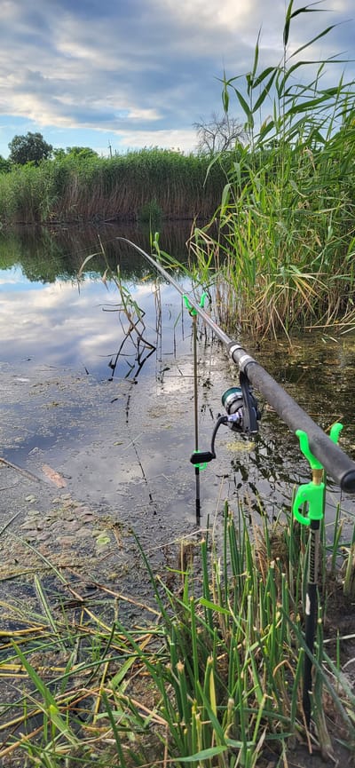 This image depicts a serene fishing scene on the outskirts of Hetmanivka, Ukraine. Two fishing rods are set up on the bank of a calm body of water, likely a river or lake. The rods are equipped with reels and rest in bright green rod holders, secured into the muddy bank amidst tall green reeds. The water is partially covered with aquatic vegetation and reflects the cloudy sky above. The background is dominated by a dense wall of reeds, with some trees visible in the distance on the left side. The overall atmosphere is one of peaceful outdoor activity.