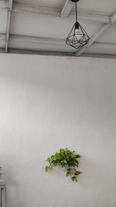A white wall with a hanging plant and a decorative ceiling light is shown. The plant, a Pothos with green and yellow variegated leaves, is in a white planter mounted on the wall. The ceiling light features a black geometric metal frame and a visible light bulb, hanging from the ceiling which appears to be constructed of wooden beams and white panels. The scene is indoors, with a neutral, minimalist aesthetic. The location is Banjarsari, Indonesia.
