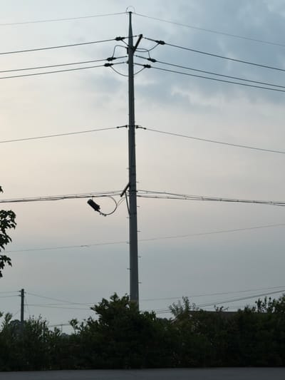 A utility pole stands tall against a cloudy sky, with multiple wires extending from it. Below the pole, a line of dense green trees and foliage forms the lower boundary of the image. In the foreground, a dark, flat surface, possibly a road or pavement, is visible. A dark cylindrical object is suspended from one of the wires by a loop of cable, attached to the pole by a bracket. The scene appears to be in Dangjin-si, South Korea, given the context.